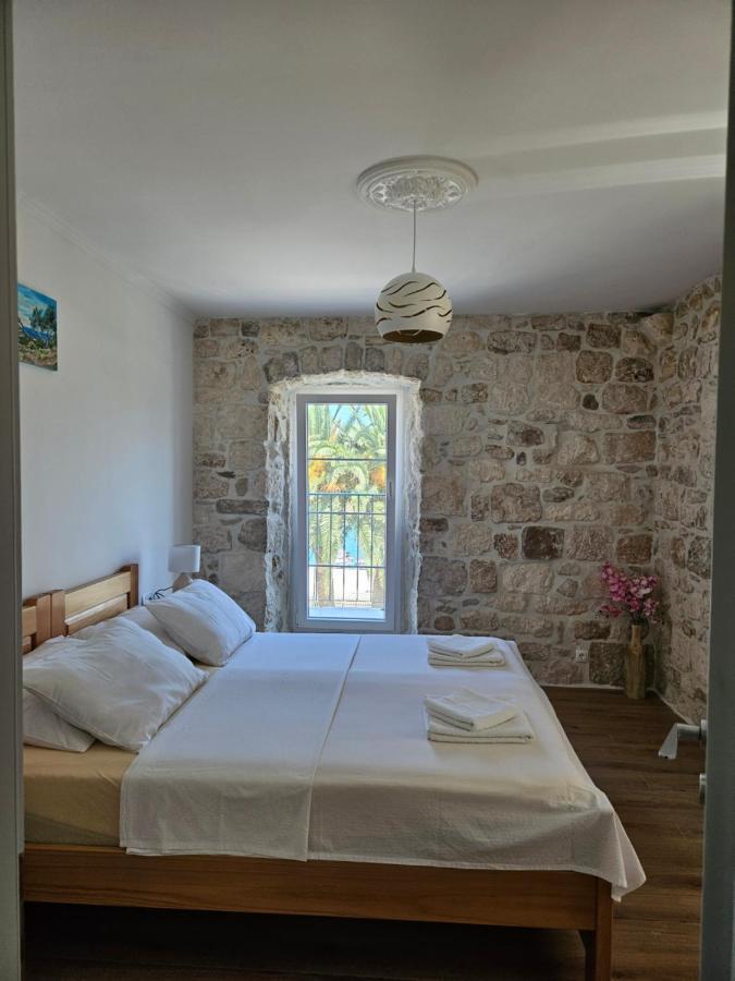 Eli Apartma *